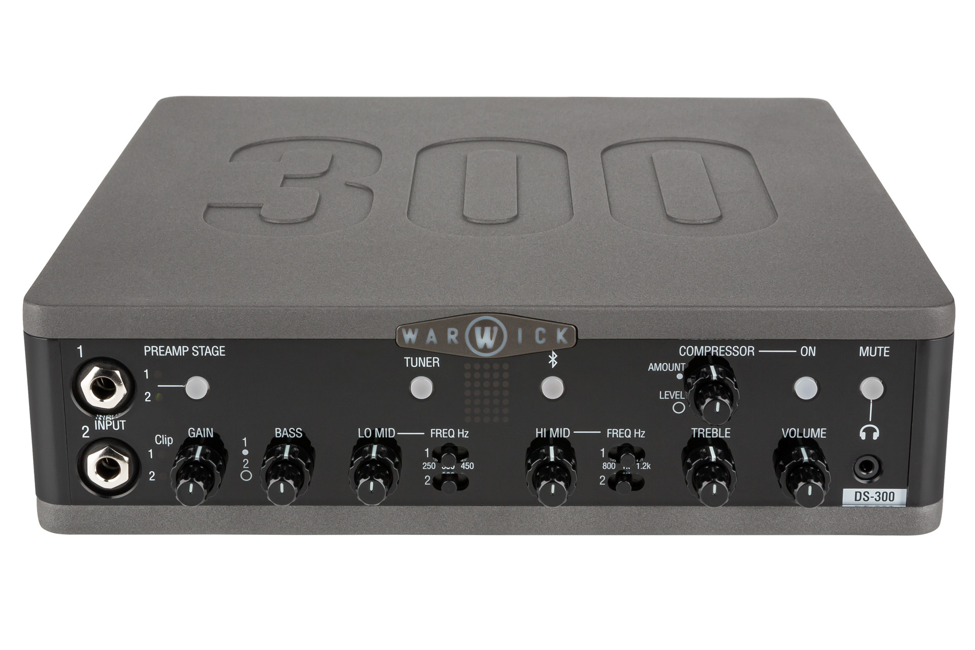 Stage Series DS 300 Double Stage Bass Amp Head mit USB-Interface